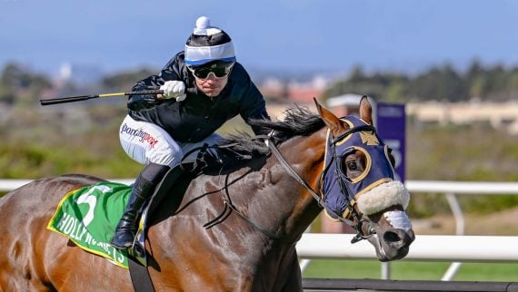 Holding Thumbs can return to form and stake his claims to a July berth on Saturday (Pic - Chase Liebenberg)