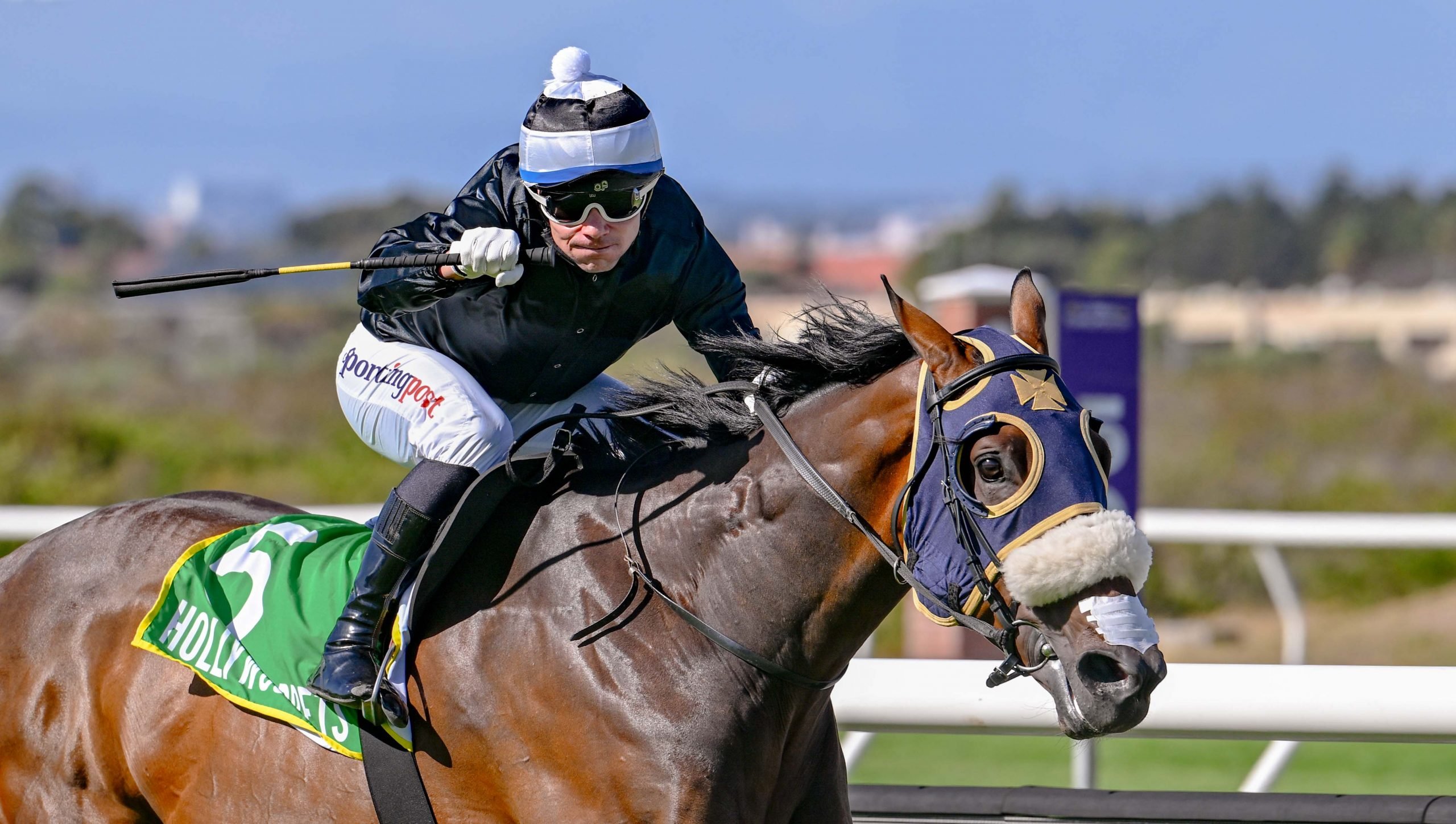 Holding Thumbs can return to form and stake his claims to a July berth on Saturday (Pic - Chase Liebenberg)