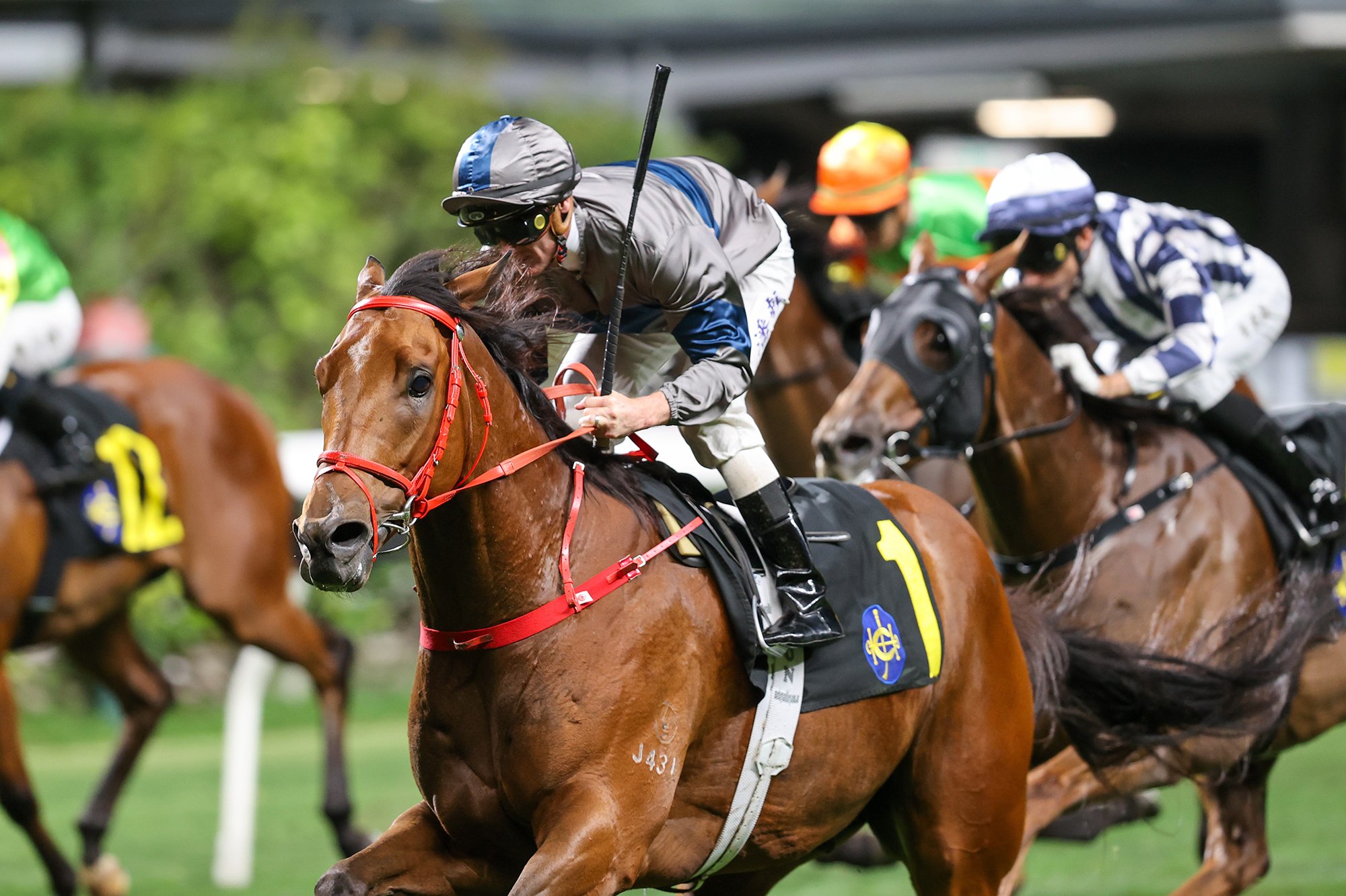Horsepower goes up in grade at Happy Valley this week (Pic - HKJC)