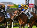 Zoustar Mare Secures Kingsford In Third Career Gr1