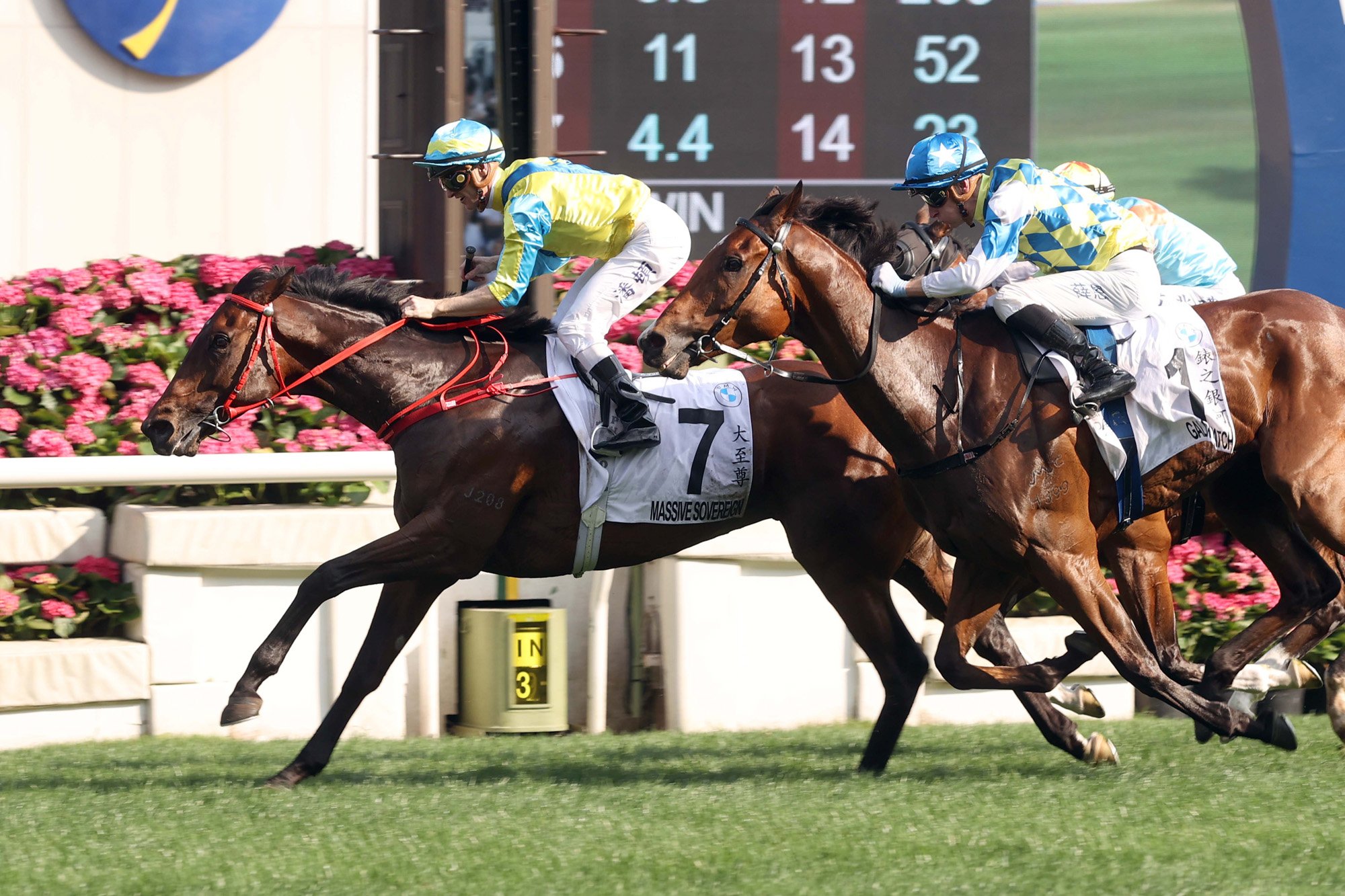 Massive Sovereign wins the 2024 BMW Hong Kong Derby (Pic - HKJC)