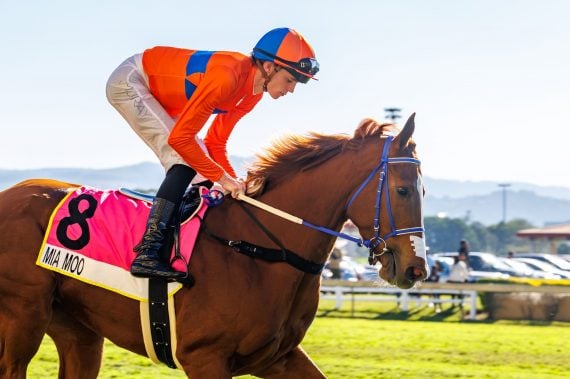 Mia Moo (Callan Murray) wins the 2025 Gr1 South African Fillies Sprint brought to you by The Witness (Pic - Candiese Lenferna)