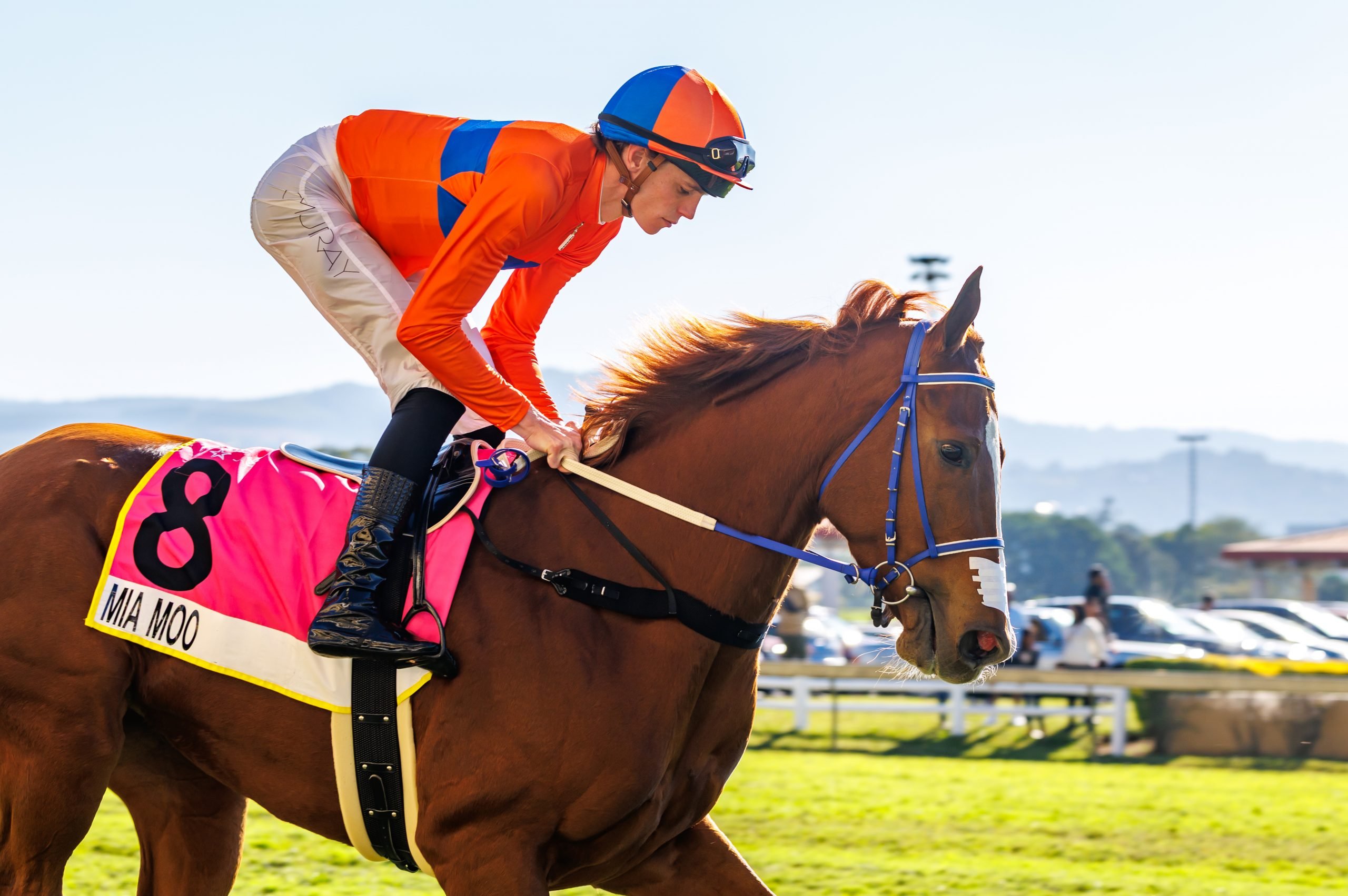 Mia Moo (Callan Murray) wins the 2025 Gr1 South African Fillies Sprint brought to you by The Witness (Pic - Candiese Lenferna)