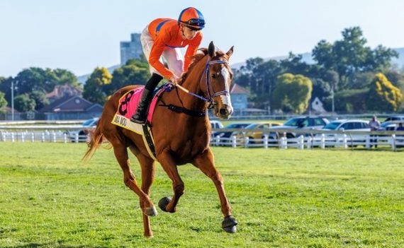 Mia Moo's (Callan Murray) merit rating has been increased to 117 (Pic - Candiese Lenferna)