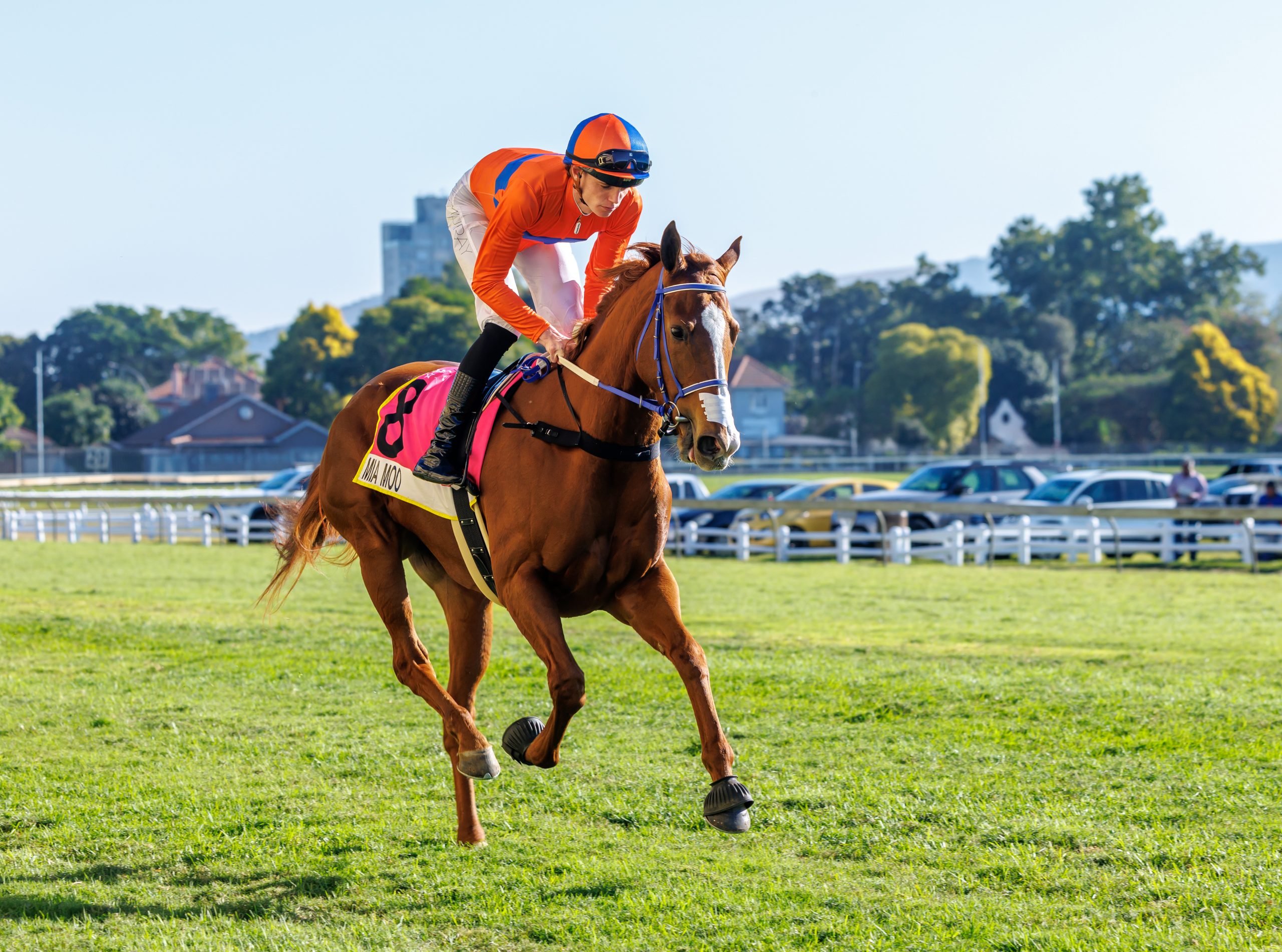 Mia Moo's (Callan Murray) merit rating has been increased to 117 (Pic - Candiese Lenferna)