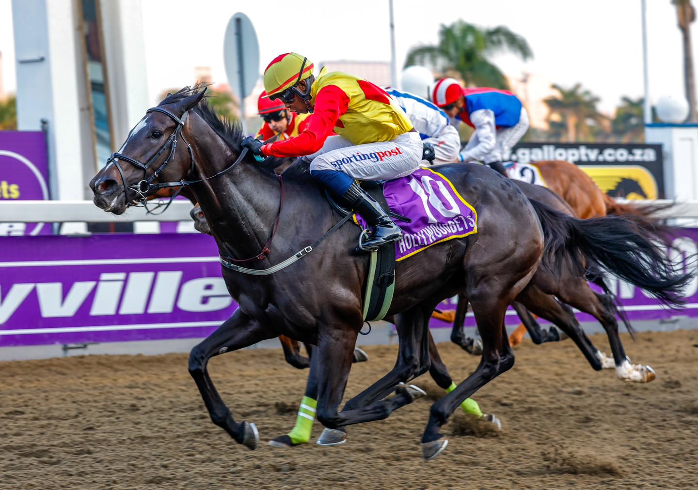 Miss Paget (here under Athandiwe Mgudlwa) takes her place in Race 7 (Pic – Candiese Lenferna)