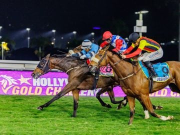Muzi Yeni drives Madison Valley down the middle as Underworld (Richard Fourie on outside) and On My Honour (Chad Little) put the pressure on (Pic - Candiese Lenferna)