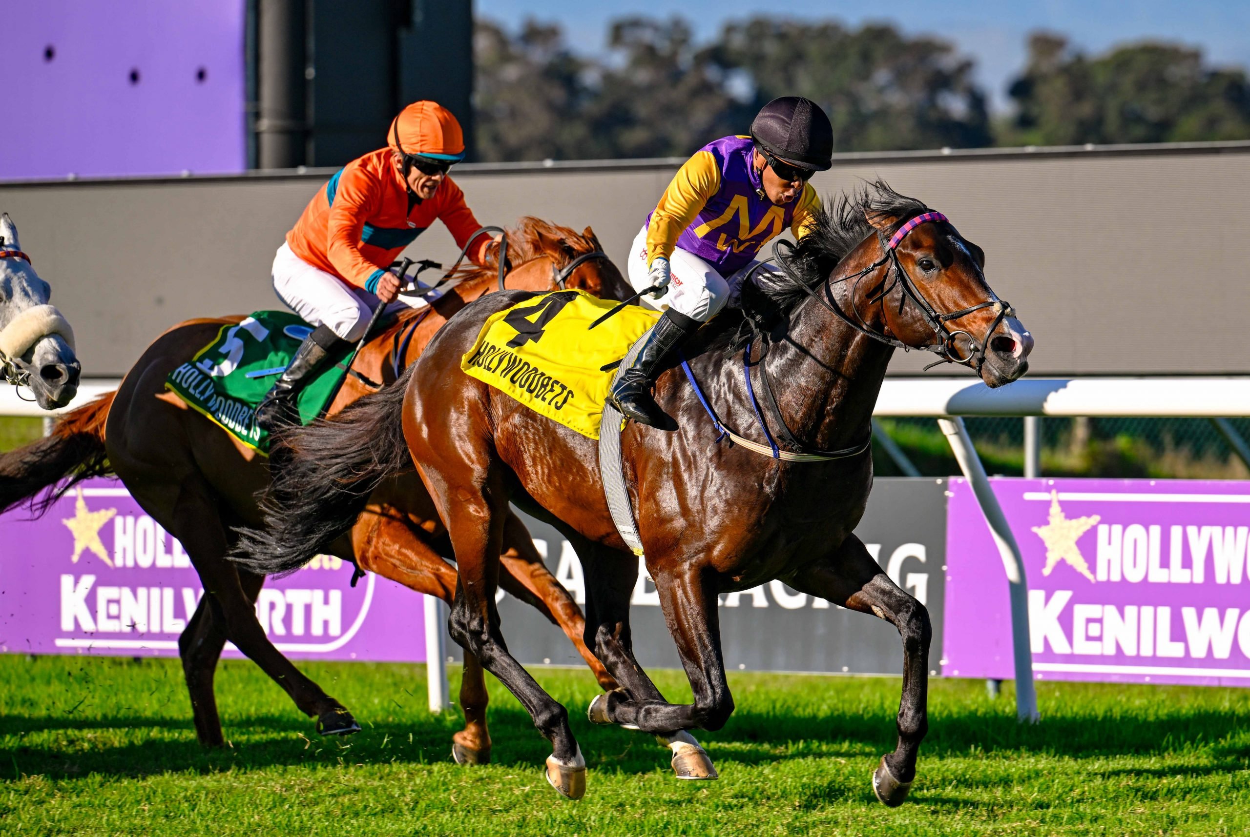 Muzi Yeni keeps Arctic Wizard at his task, as Kaiboy (Andrew Fortune) battles on, with the low-flying Dumbledore popping his head into the frame (Pic - Chase Liebenberg)