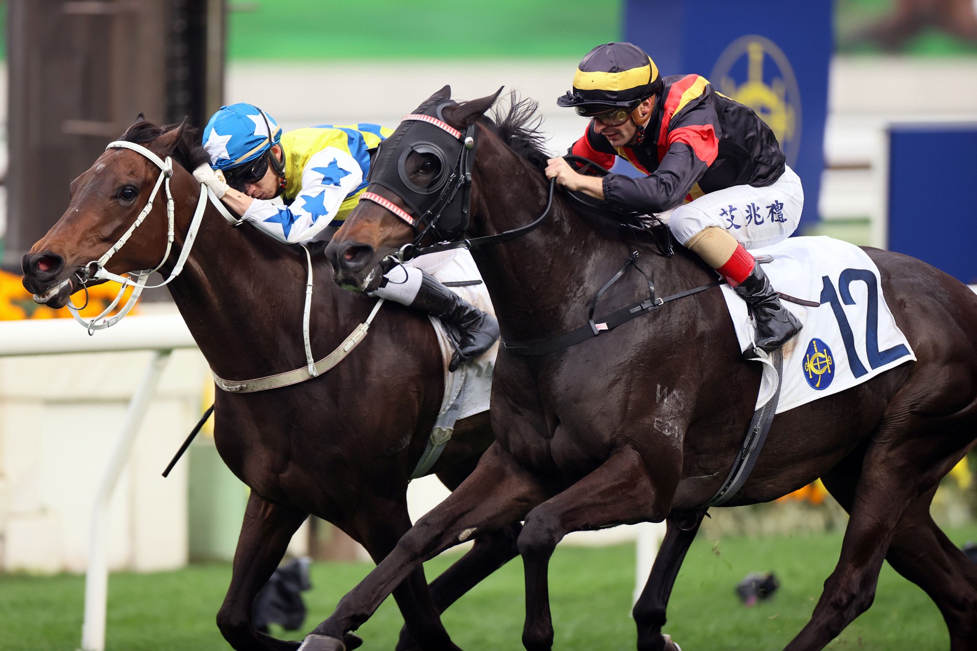 Nimble Nimbus (No. 12) is Group 1-placed in Hong Kong
