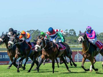 Owner-breeder Henning Pretorius will be looking for a big effort from former East Cape star, Cherry Ano (Pic - Pauline Herman)