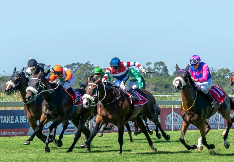 Owner-breeder Henning Pretorius will be looking for a big effort from former East Cape star, Cherry Ano (Pic - Pauline Herman)