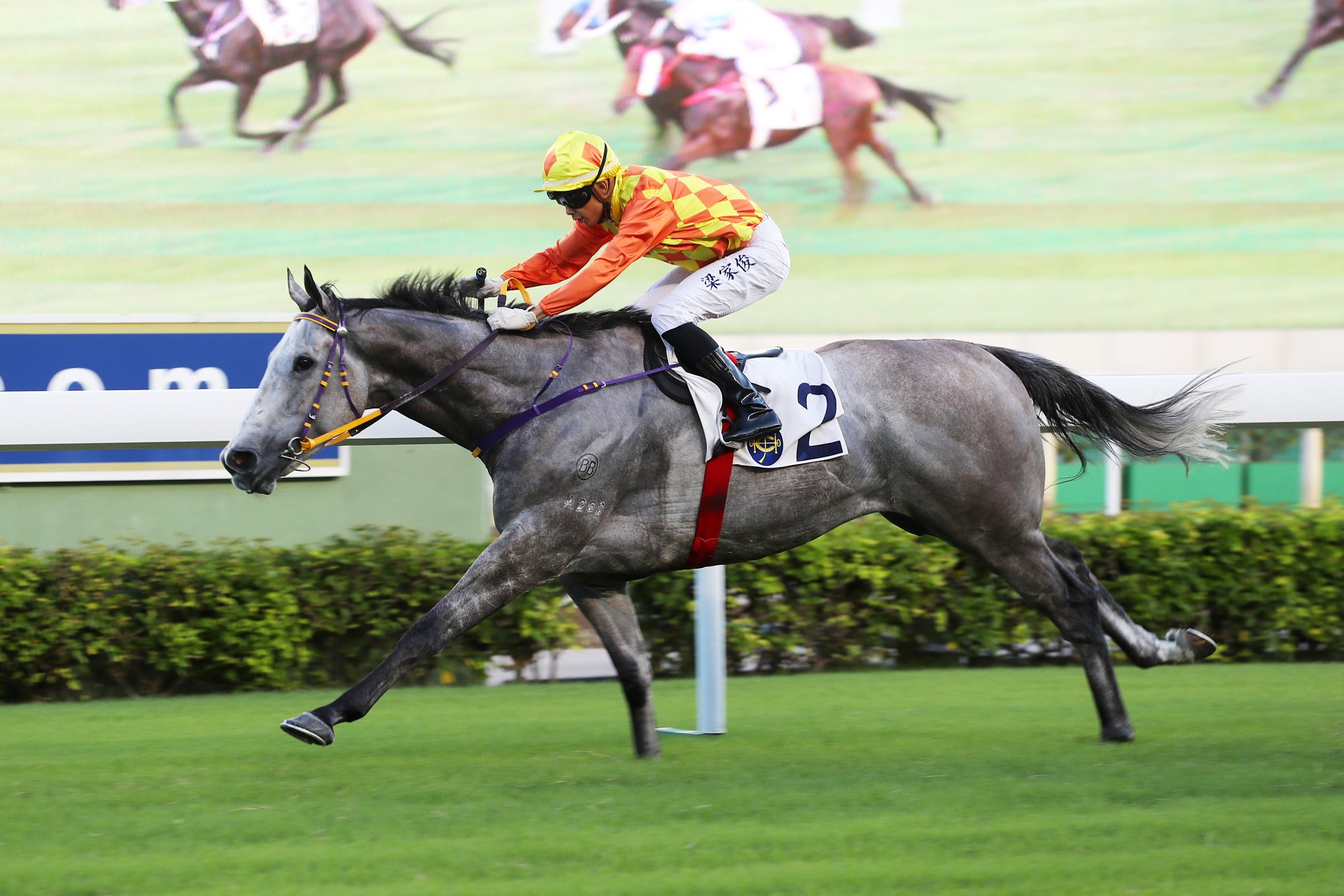 Pingwu Spark won five times for Benno Yung (Pic - HKJC)