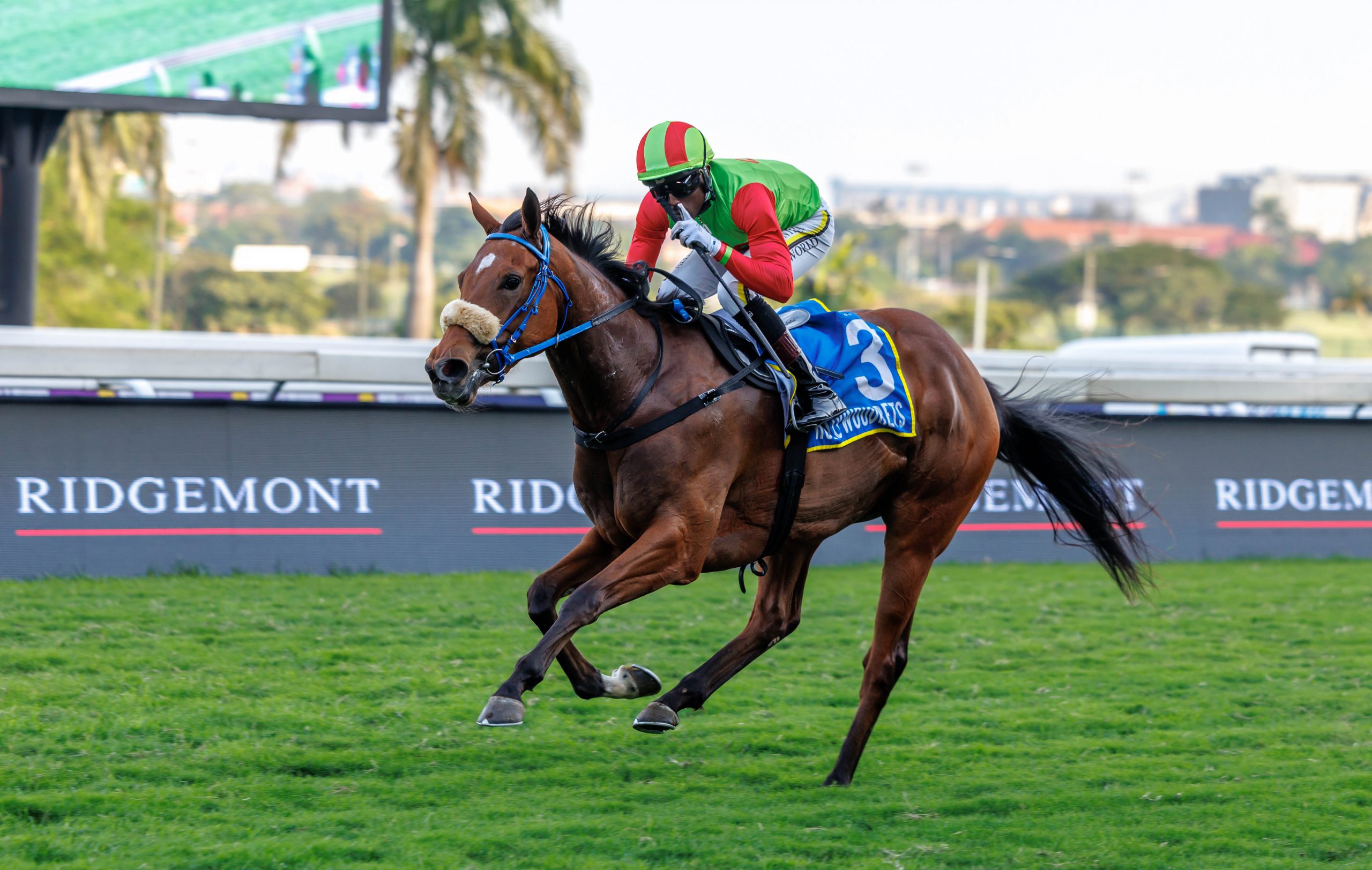 Quickstepgal (Kabelo Maysunyane) head home solo (Pic - Candiese Lenferna)
