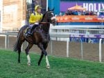 Gold Challenge – History On Side Of The Fleetfooted