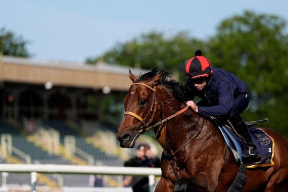 Satono Reve will carry the hopes of a nation at Royal Ascot (Pic - John Hoy)