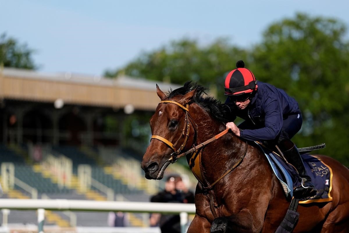 Satono Reve will carry the hopes of a nation at Royal Ascot (Pic - John Hoy)