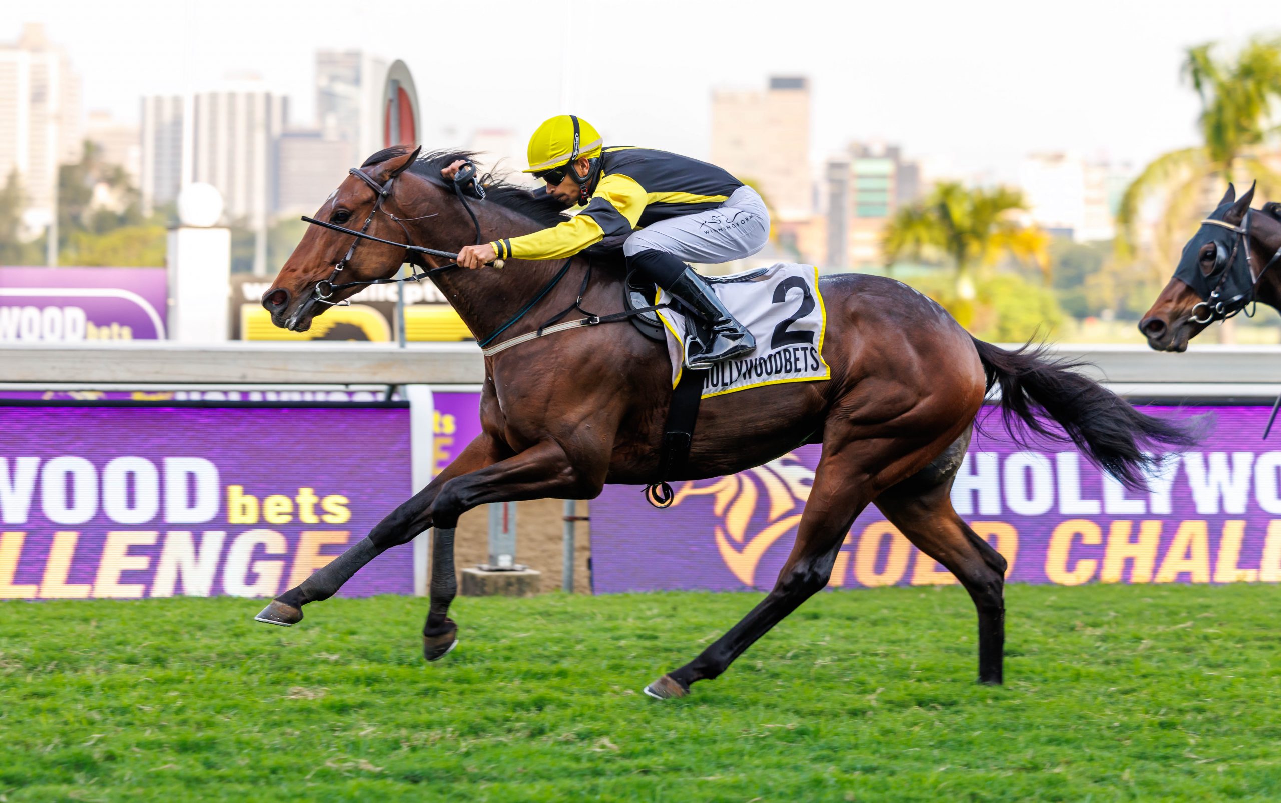 Serino Moodley steers Tony Peter’s Gimmethegoodlife to a smooth victory in the Pick 6 opener (Pic - Candiese Lenferna)