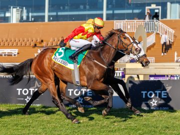She's A Bomber has had her merit rating increased (Pic - Candiese Lenferna)