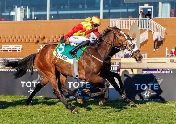 She's A Bomber has had her merit rating increased (Pic - Candiese Lenferna)