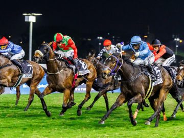 Smanga Khumalo drives Green Sapphire to victory in the HKJC World Pool Gr2 Tibouchina Stakes (Pic - Candiese Lenferna)