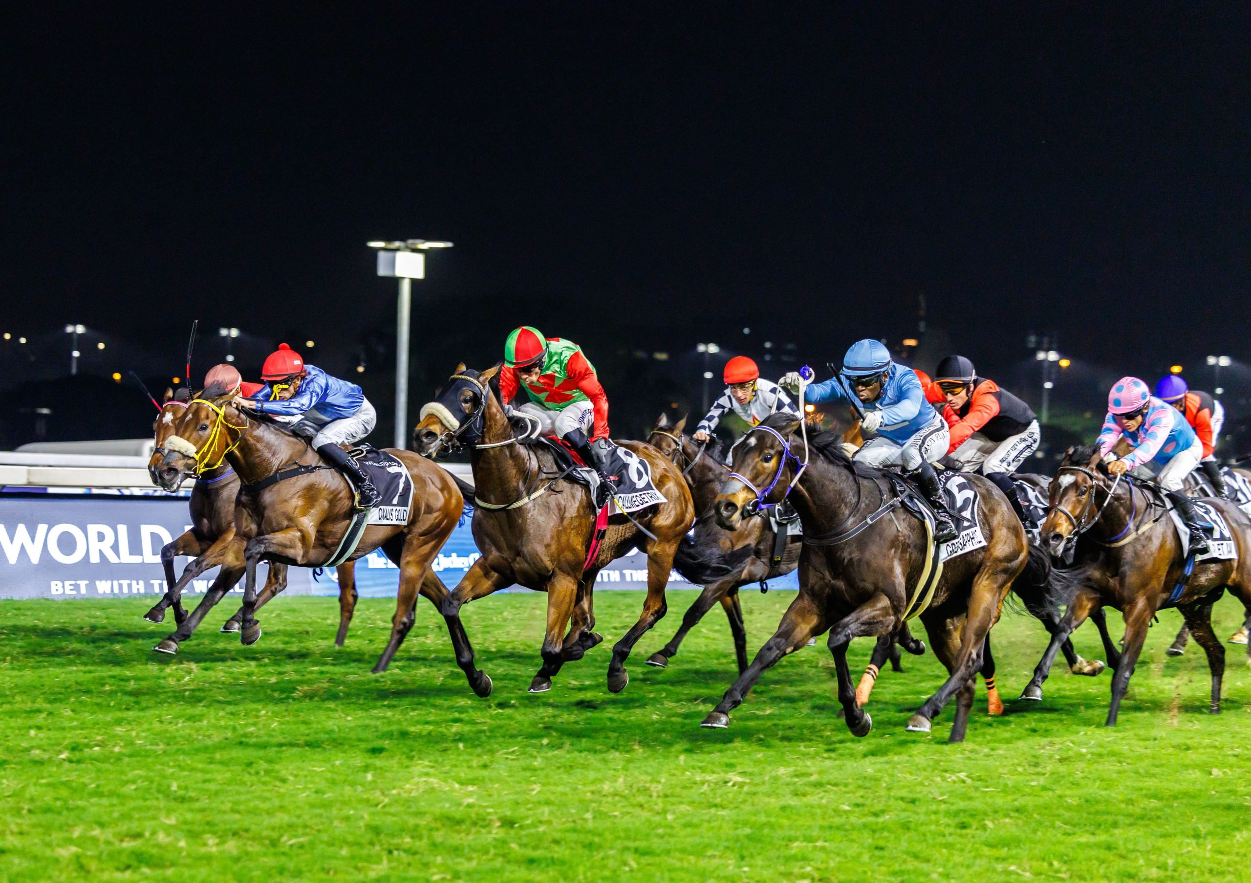 Smanga Khumalo drives Green Sapphire to victory in the HKJC World Pool Gr2 Tibouchina Stakes (Pic - Candiese Lenferna)