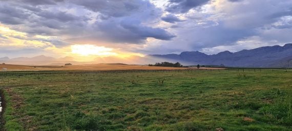 The beauty of Boland Stud (Pic - Boland Stud on FB)