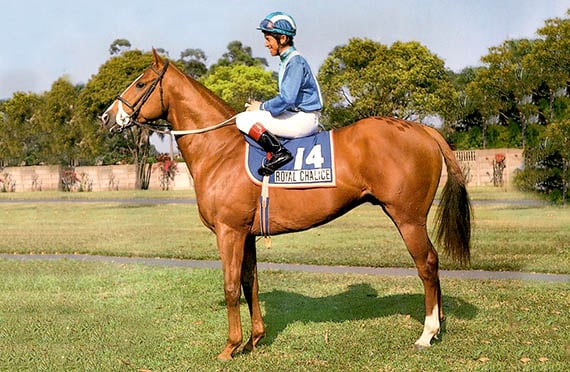 The link! 1988 Rothmans July winner Royal Chalic (Pic - Supplied)