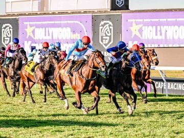 Thursday's racing action at Hollywoodbets Kenilworth (Pic - Chase Liebenberg)