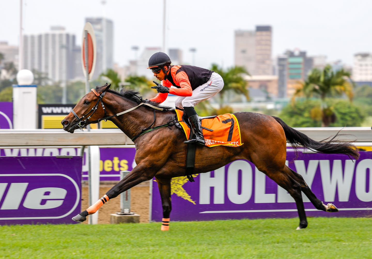 Tristan Godden takes the ride on Ethereal View in the lucky last (Pic - Candiese Lenferna)