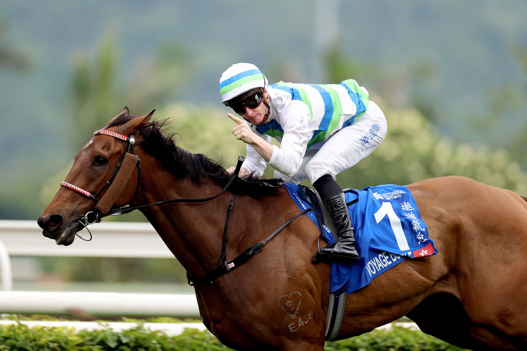 Voyage Bubble wins Hong Kong’s Triple Crown
