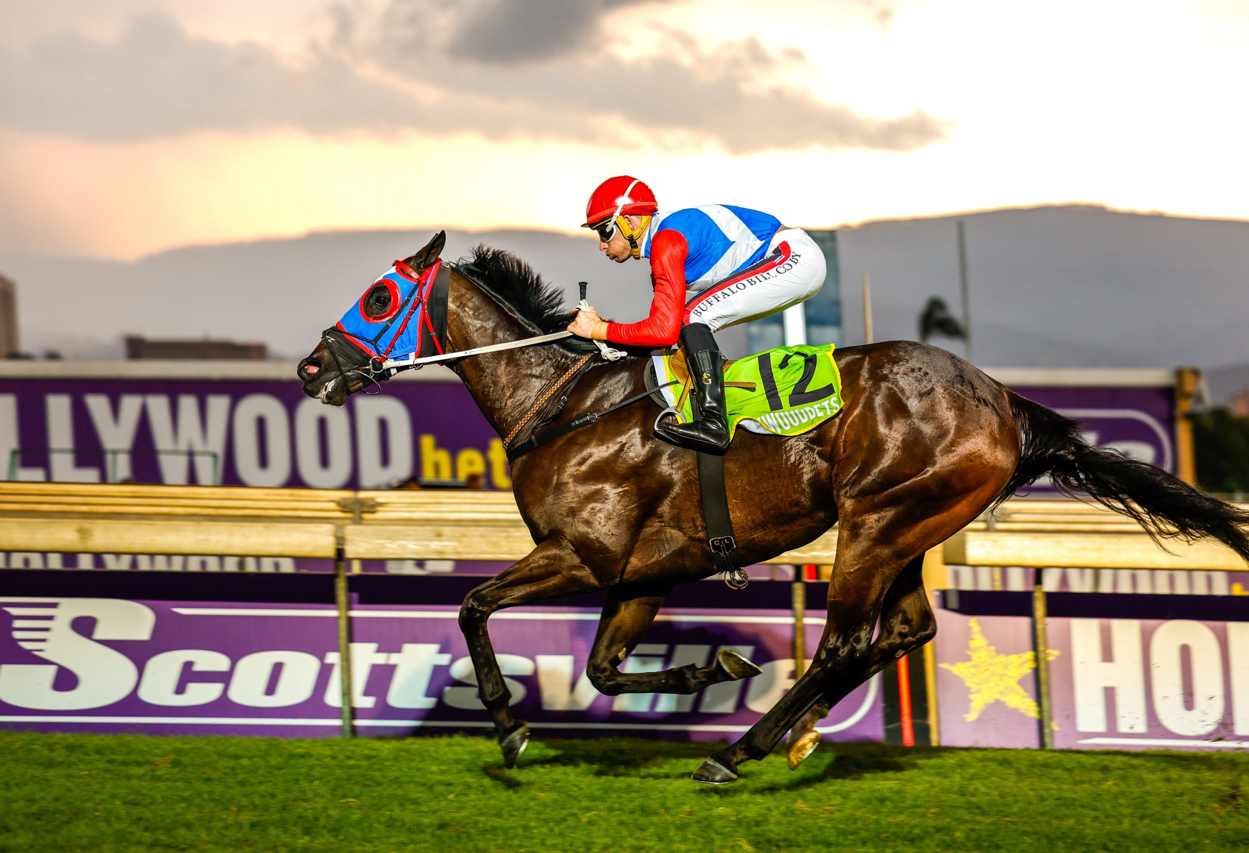 William Robertson – Gr1 winning sprinter has been placed at Gr1 level over a mile (Pic - Candiese Lenferna)
