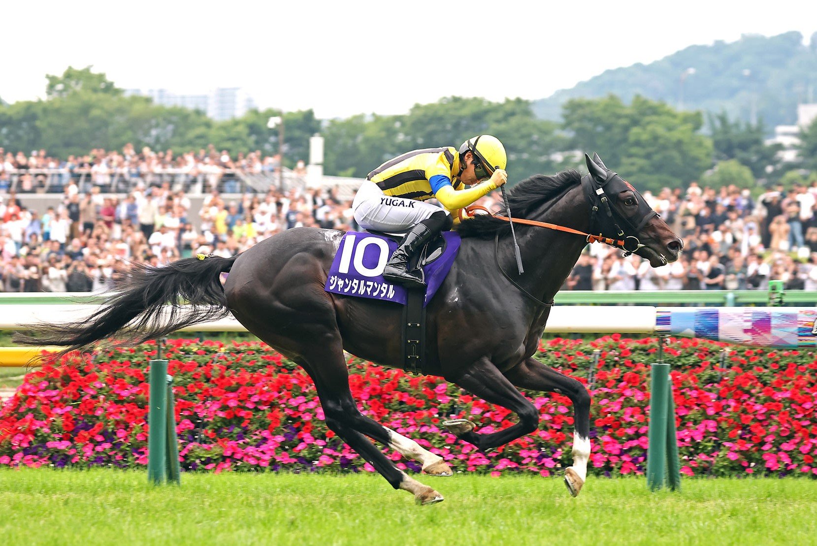 Yuga Kawada steers Jantar Mantar to victory on Sunday (Pic - JRA)