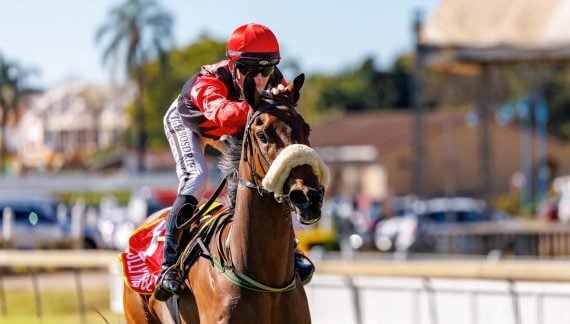 Princess Of Gaul – skates clear on impressive debut (Pic - Candiese Lenferna)