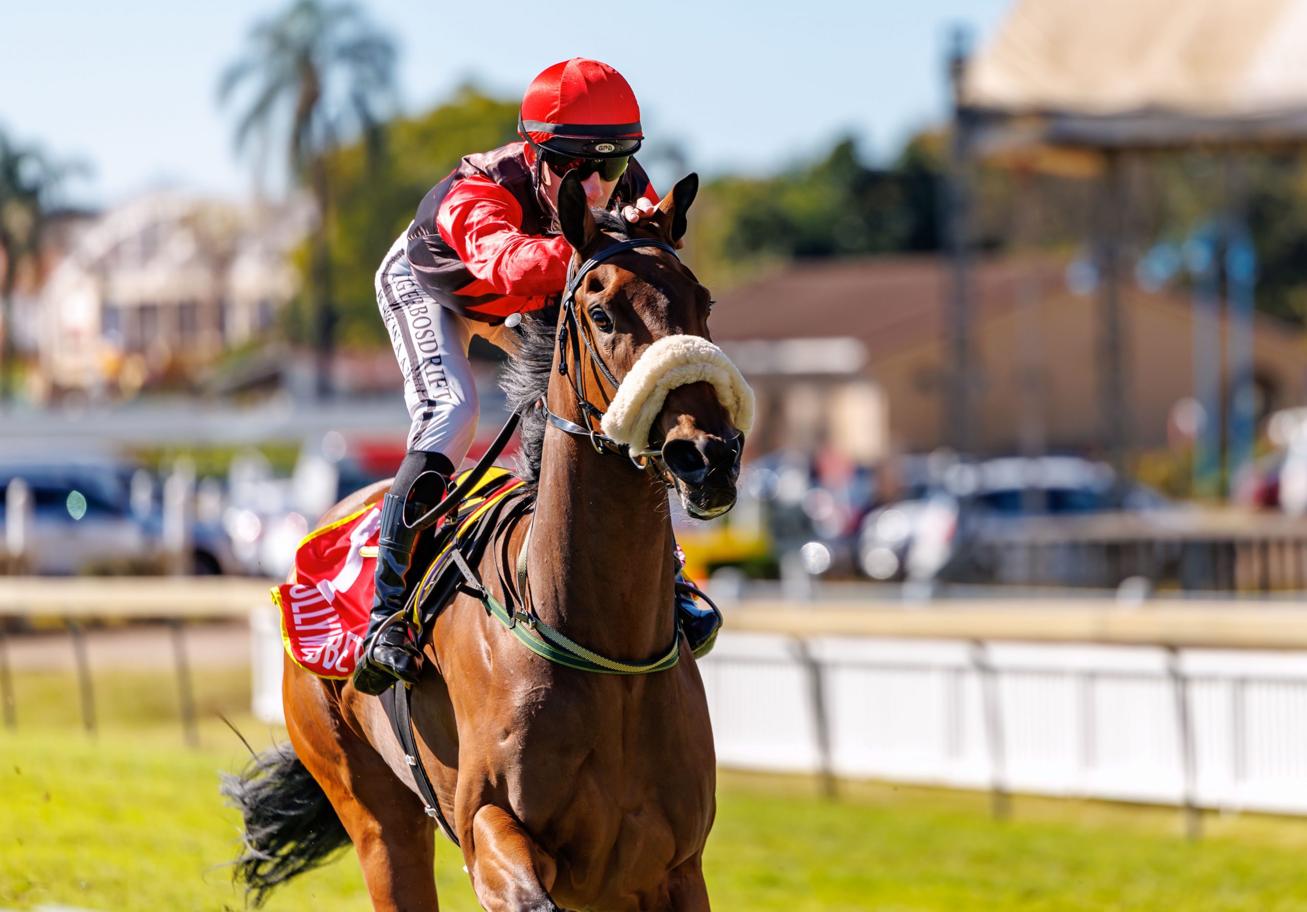 Princess Of Gaul – skates clear on impressive debut (Pic - Candiese Lenferna)